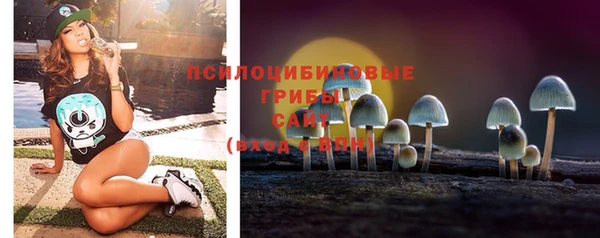СК Ладушкин