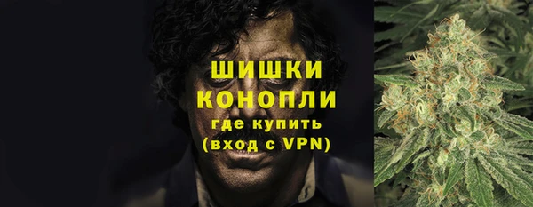 гашик Вяземский