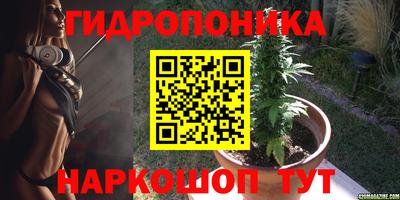 СК Обнинск