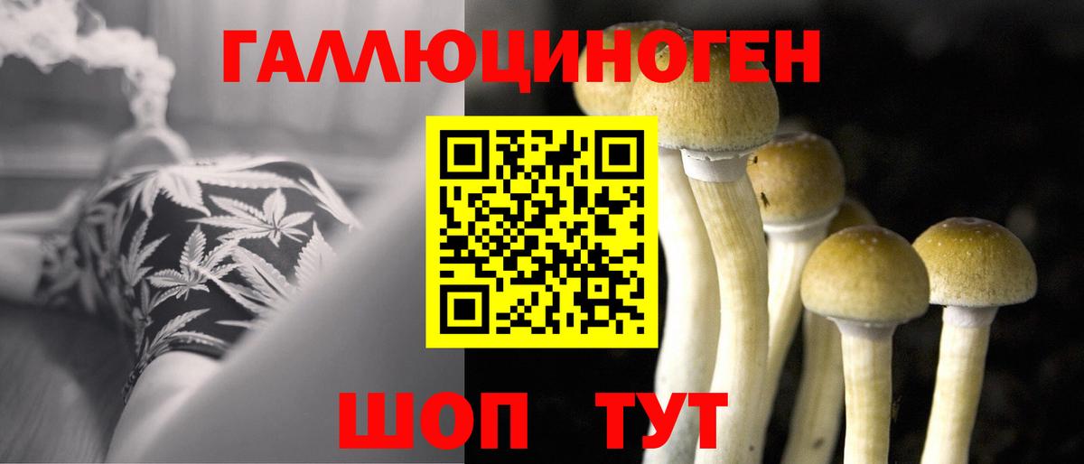 Электросталь  Галлюциногенные грибы Psilocybine cubensis  Вход с VPN 