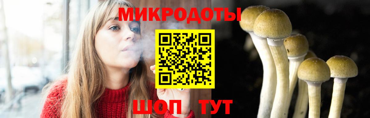 Псилоцибиновые грибы мицелий Электросталь